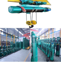 Electric wire rope hoist