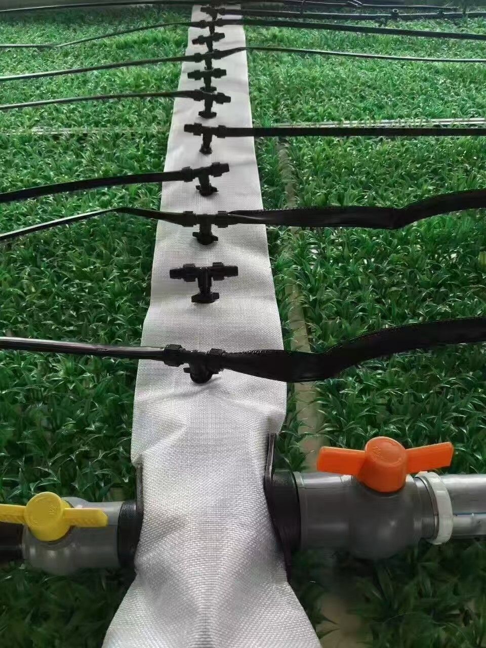 Agricultural hose